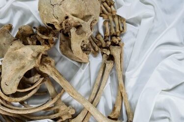 Article Le Temps – mars 2026